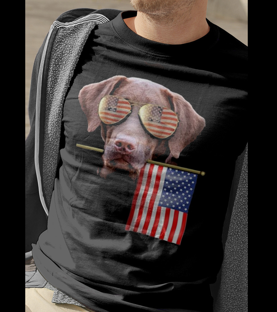 Pitbull Dog With American Flag Sunglasses And Flag T-Shirt