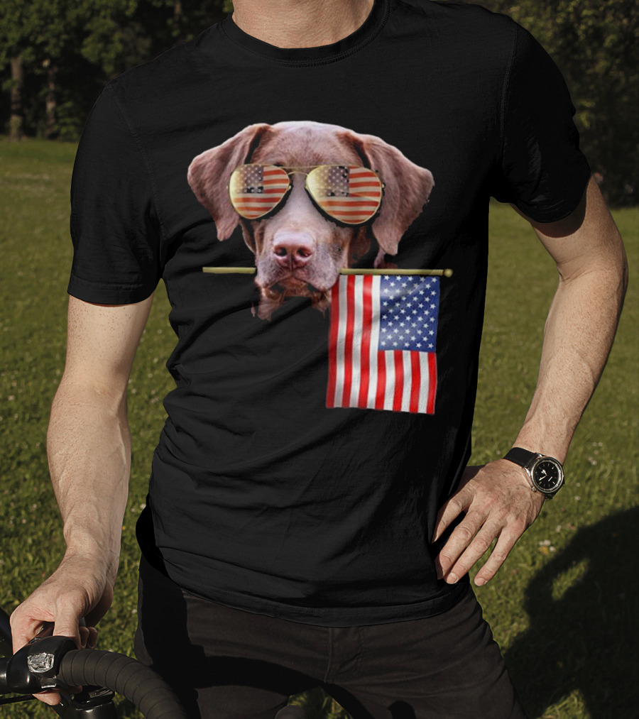 Pitbull Dog With American Flag Sunglasses And Flag T-Shirt