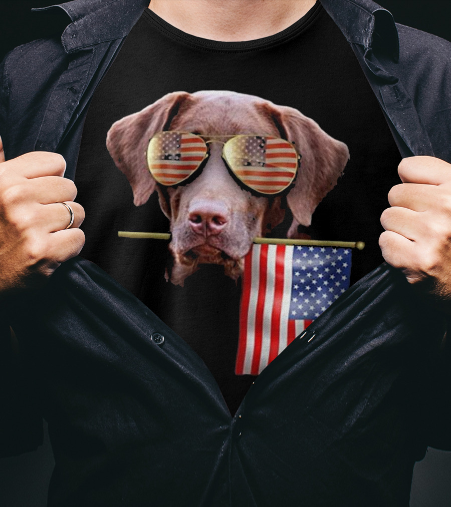 Pitbull Dog With American Flag Sunglasses And Flag T-Shirt