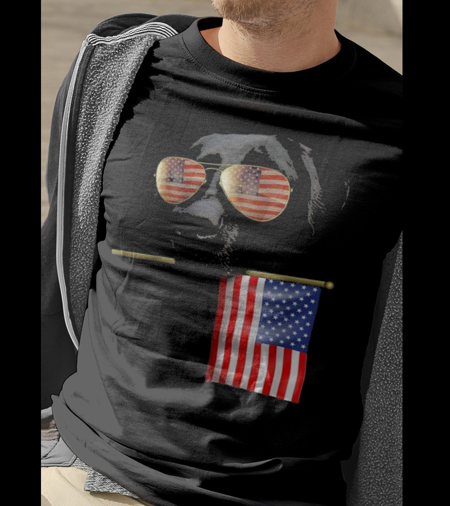 Patriotic Labrador With American Flag Shades Fourth Of July T-Shirt