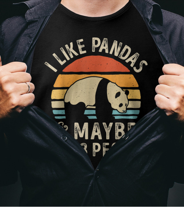 I Like Pandas And Maybe Like 3 People Panda Bear Lover Retro Sunset T-Shirt