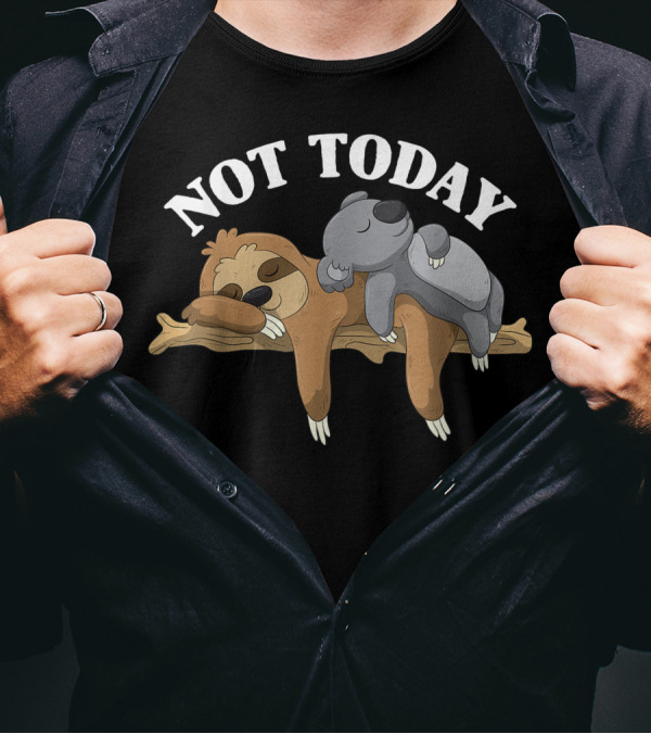 Not Today Sleepy Sloth And Koala On Branch T-Shirt