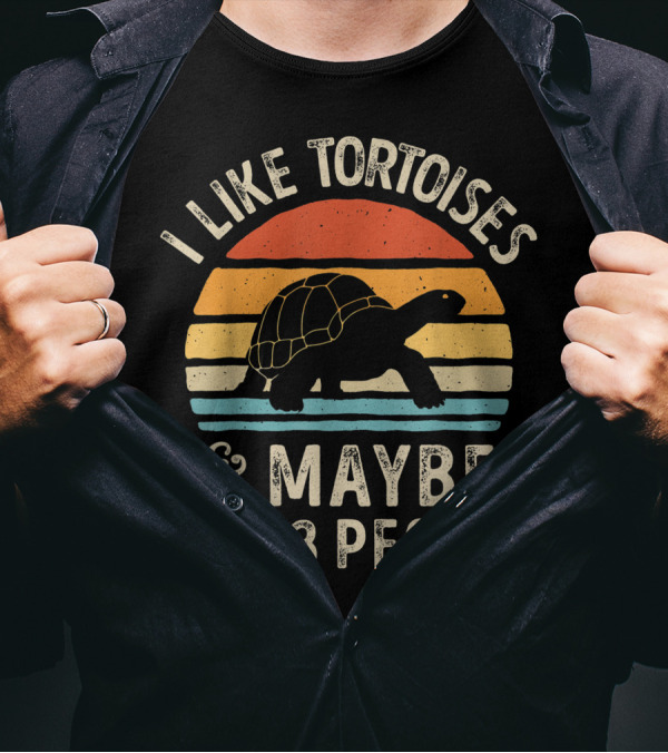 I Like Tortoises And Maybe Like 3 People Retro Tortoise T-Shirt