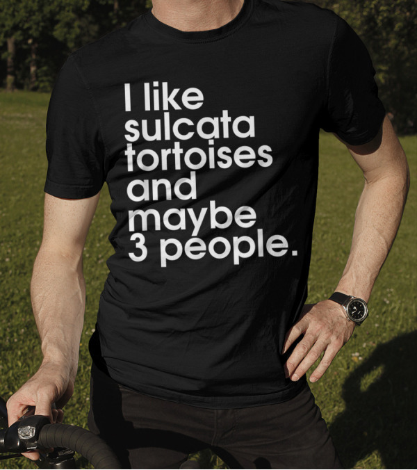 I Like Sulcata Tortoises And Maybe 3 People Introvert Reptile Lover T-Shirt