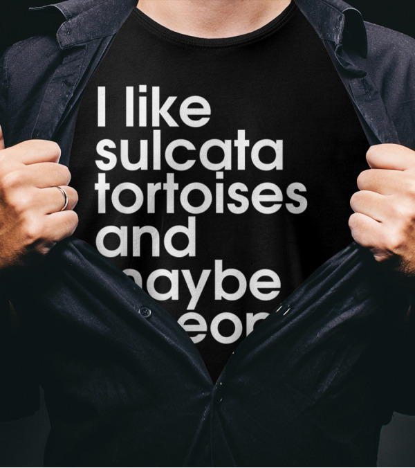 I Like Sulcata Tortoises And Maybe 3 People Introvert Reptile Lover T-Shirt
