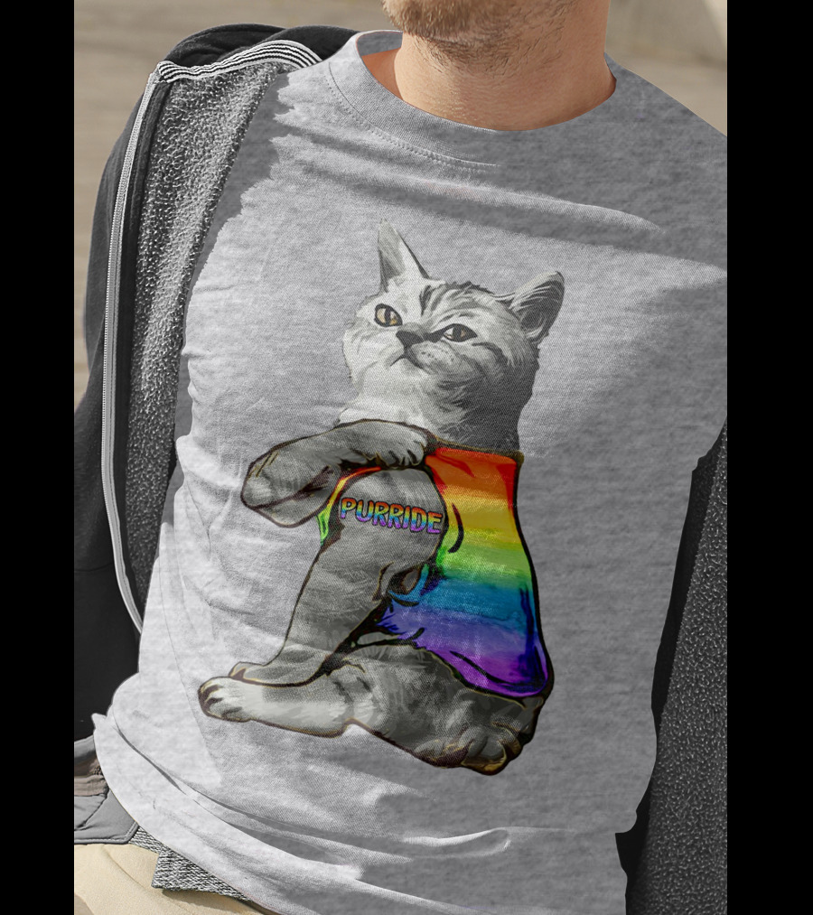 Purride Cat In Rainbow Colors T-Shirt