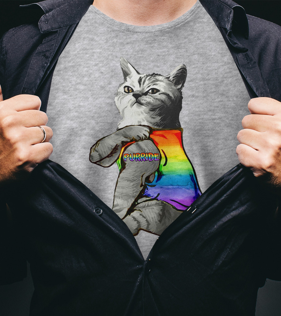 Purride Cat In Rainbow Colors T-Shirt