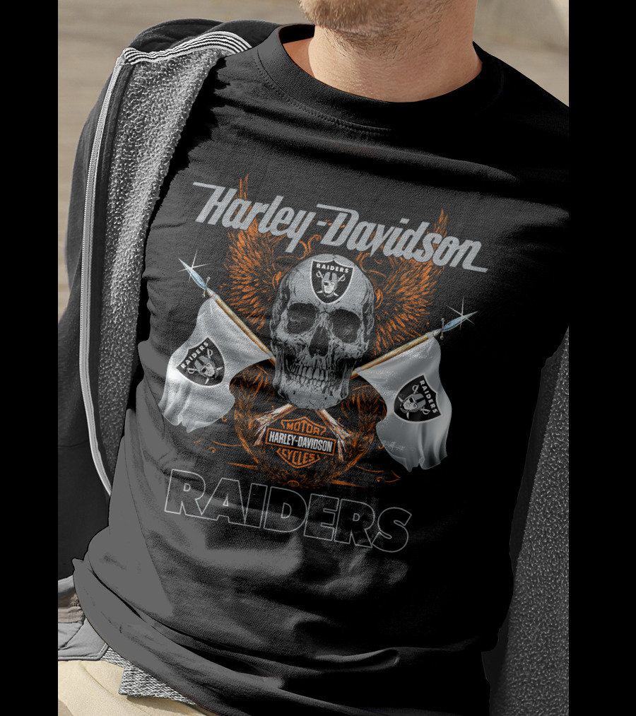 Harley Davidson Raiders Skull Flag T-Shirt