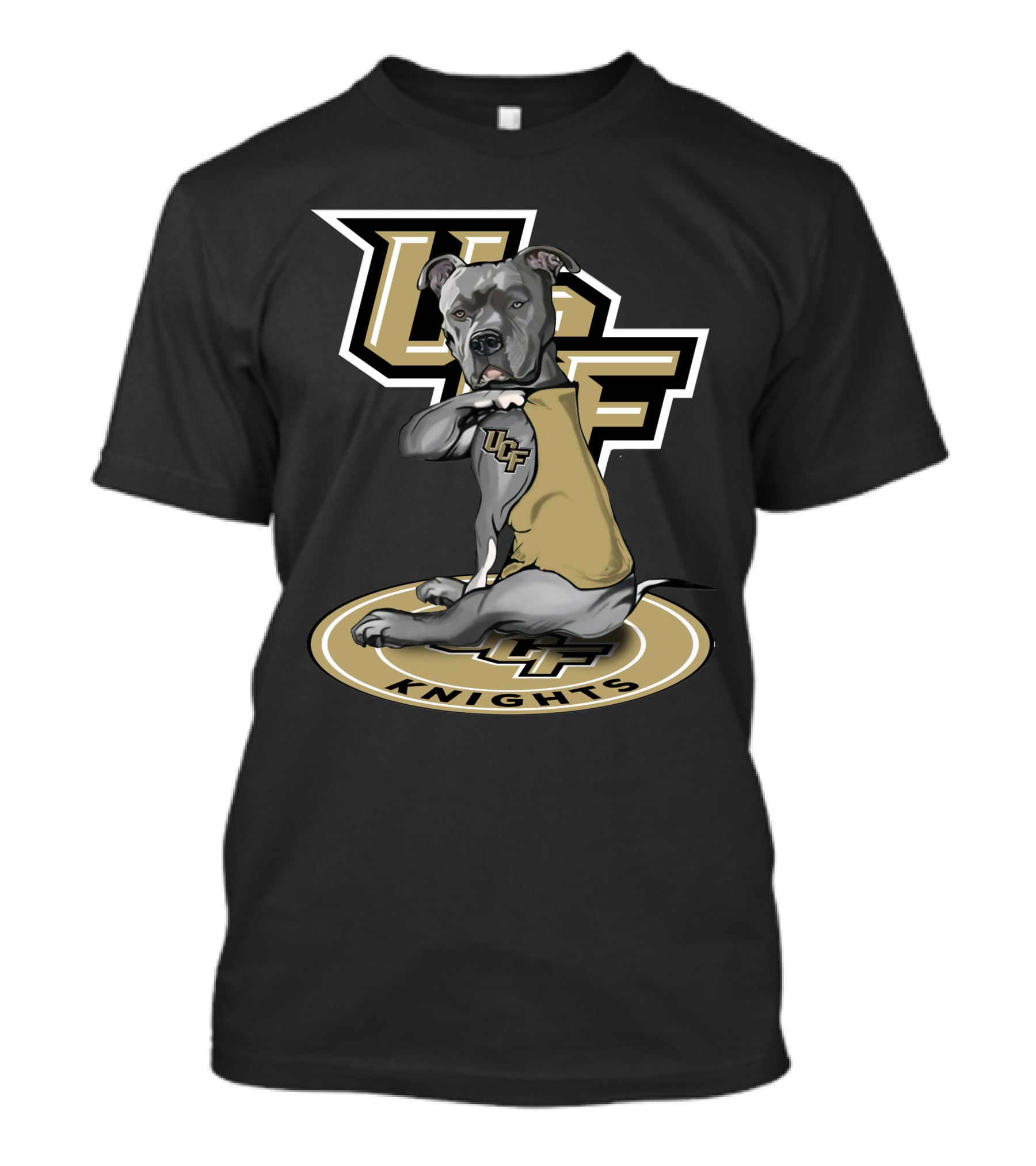Ucf Knights Mascot Dog With Ucf T-Shirt