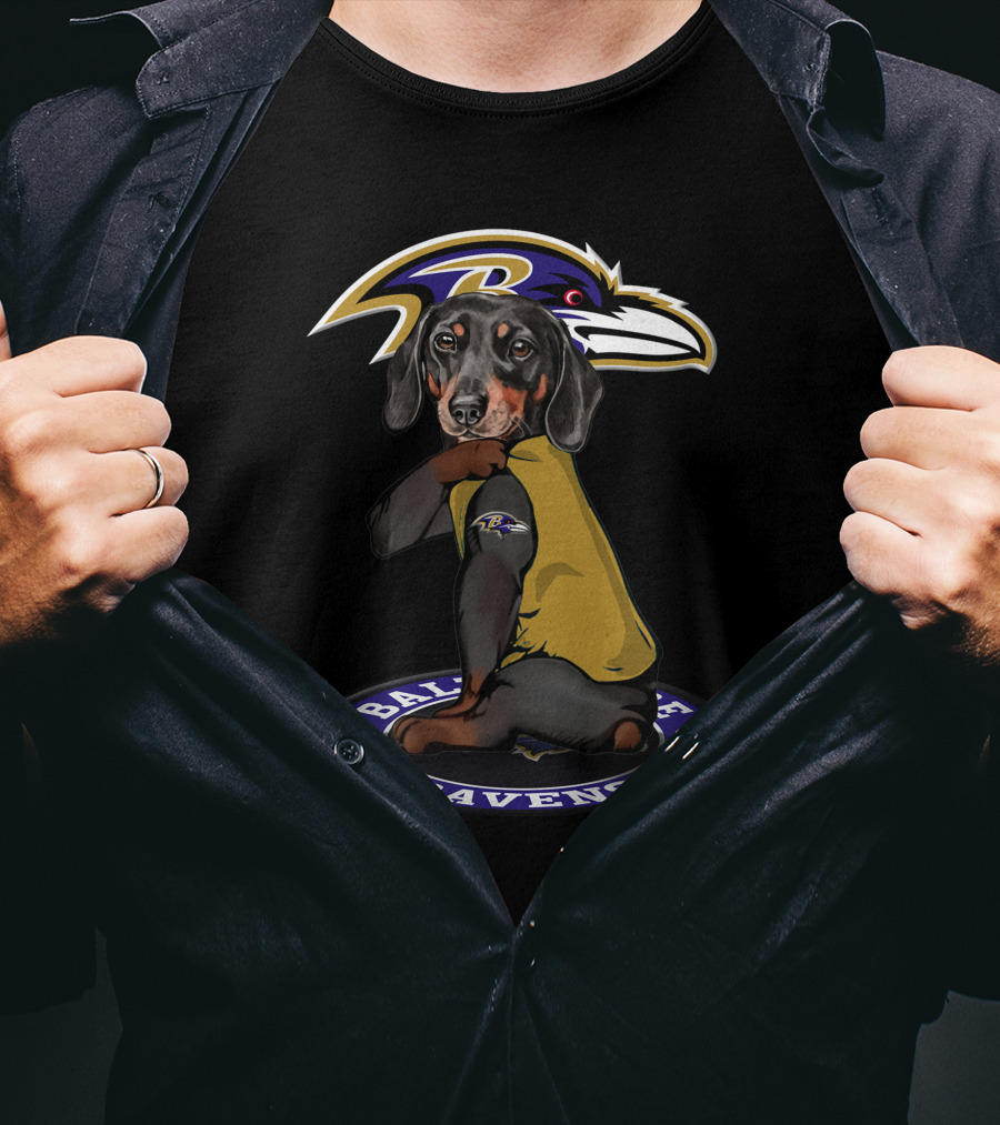 Baltimore Ravens Dog In Ravens Jersey With Team T-Shirt