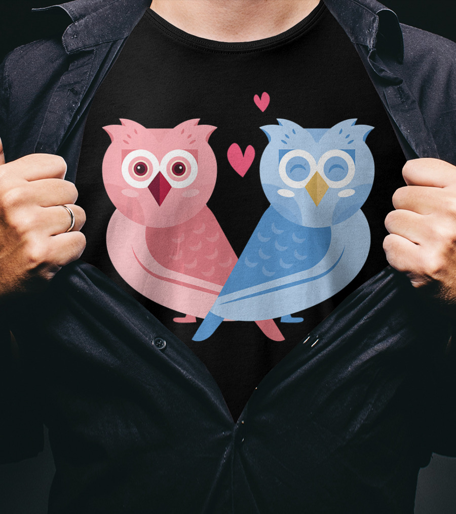 Cute Owls Birds In Love Couple With Hearts T-Shirt