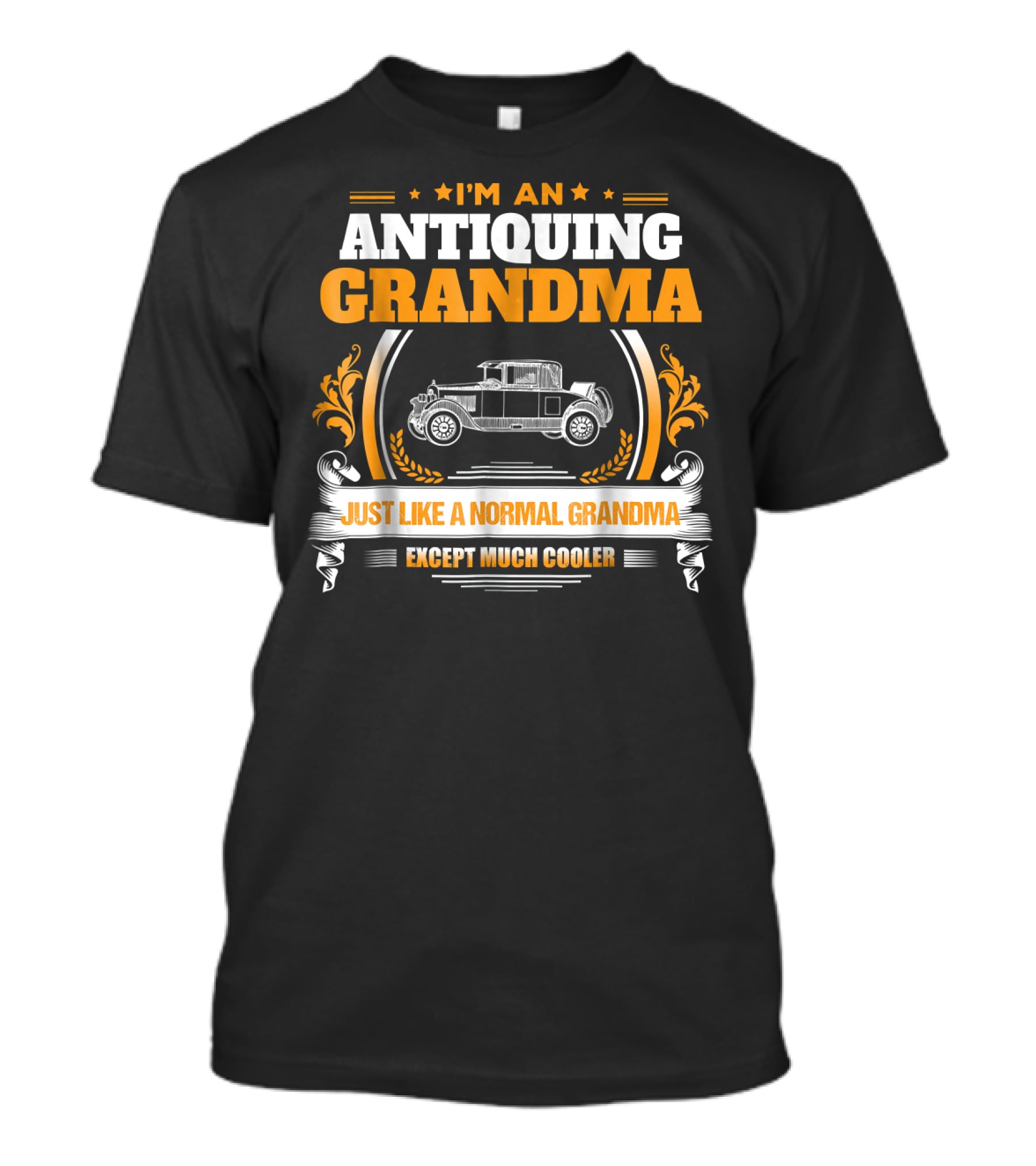 I'm An Antiquing Grandma Just Like A Normal Grandma Except Much Cooler T-Shirt