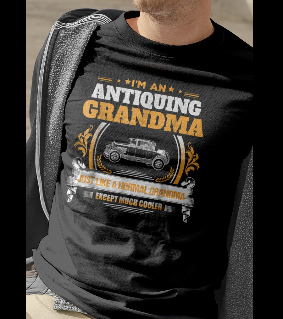 I'm An Antiquing Grandma Just Like A Normal Grandma Except Much Cooler T-Shirt