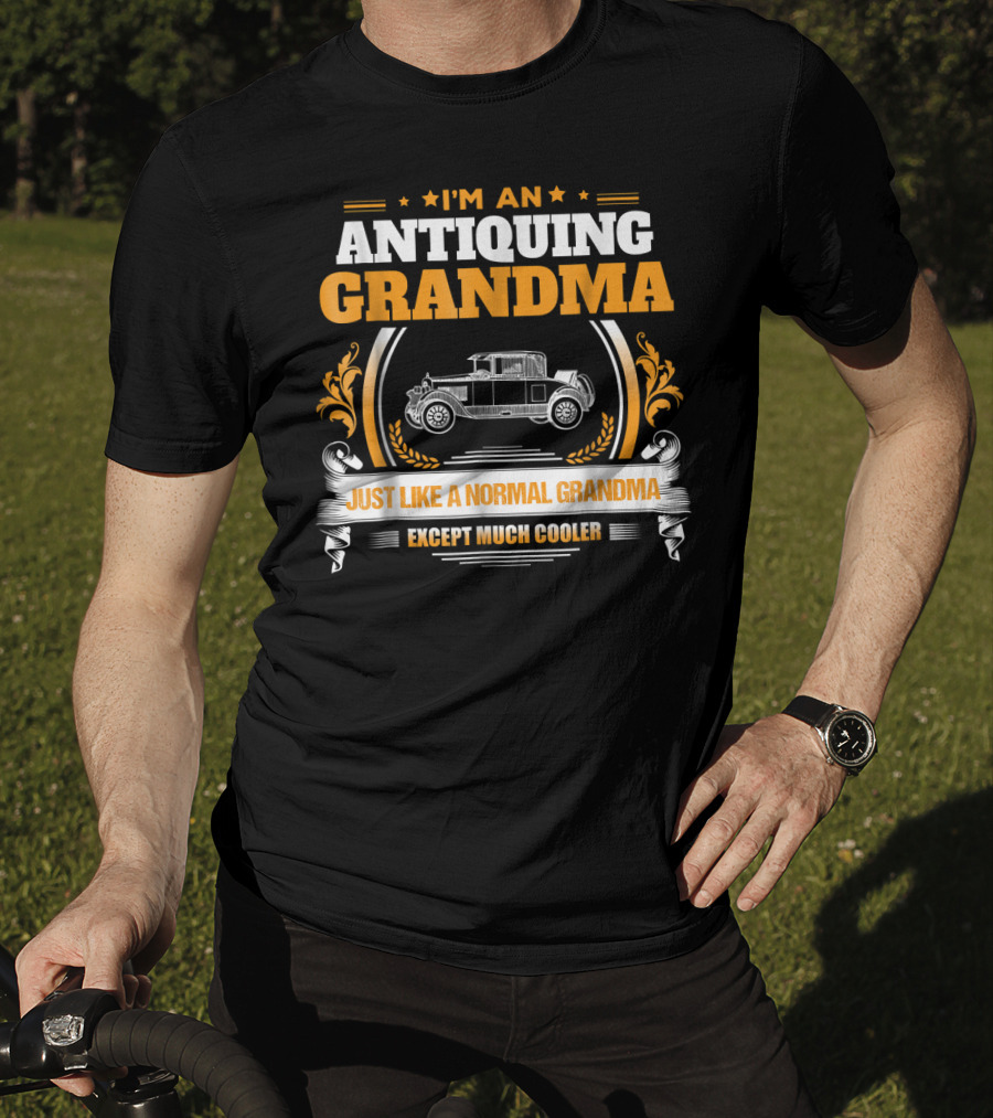 I'm An Antiquing Grandma Just Like A Normal Grandma Except Much Cooler T-Shirt