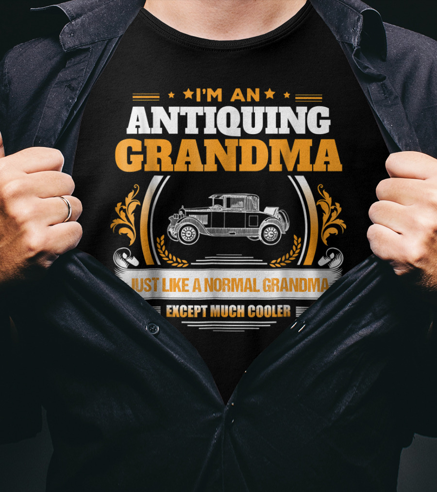 I'm An Antiquing Grandma Just Like A Normal Grandma Except Much Cooler T-Shirt