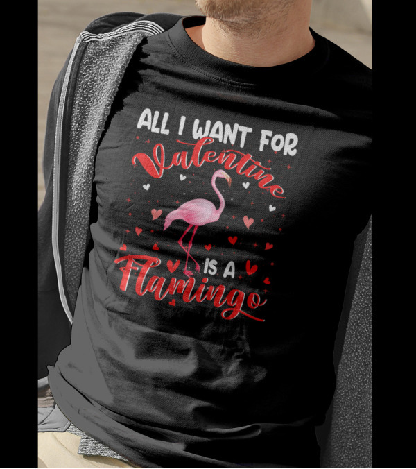 All I Want For Valentine Is A Flamingo T-Shirt