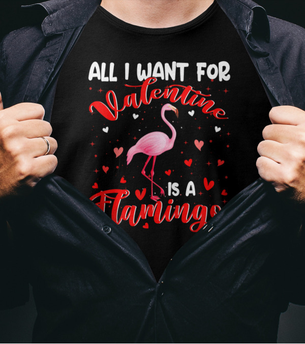 All I Want For Valentine Is A Flamingo T-Shirt