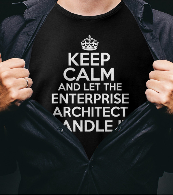 Keep Calm And Let The Enterprise Architect Handle It T-Shirt
