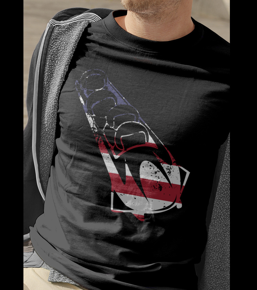 USA American Flag Bobsledding Team Patriot Sports T-Shirt