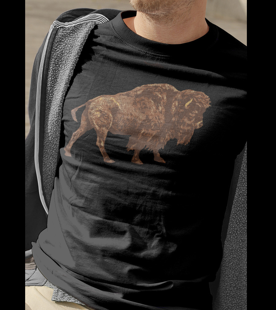 Vintage American Buffalo Bison Explorer T-Shirt