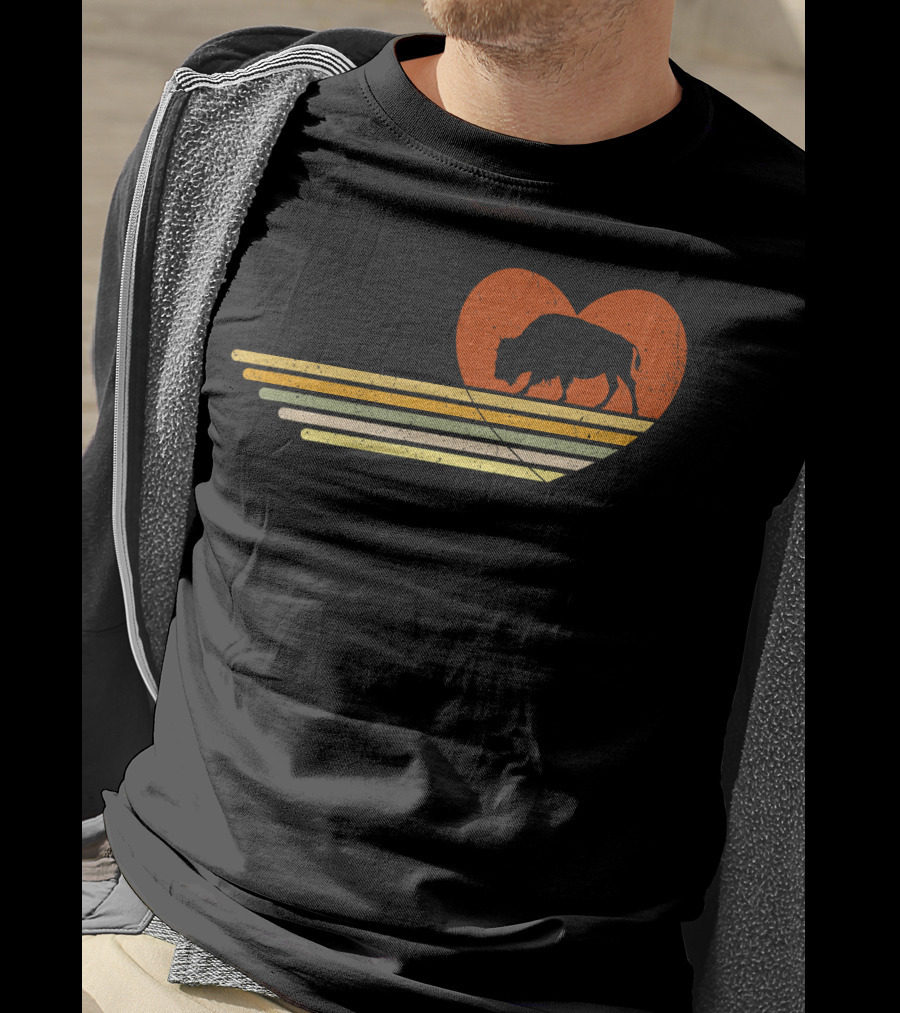 Vintage Bison Heart Retro Sunset Stripes T-Shirt