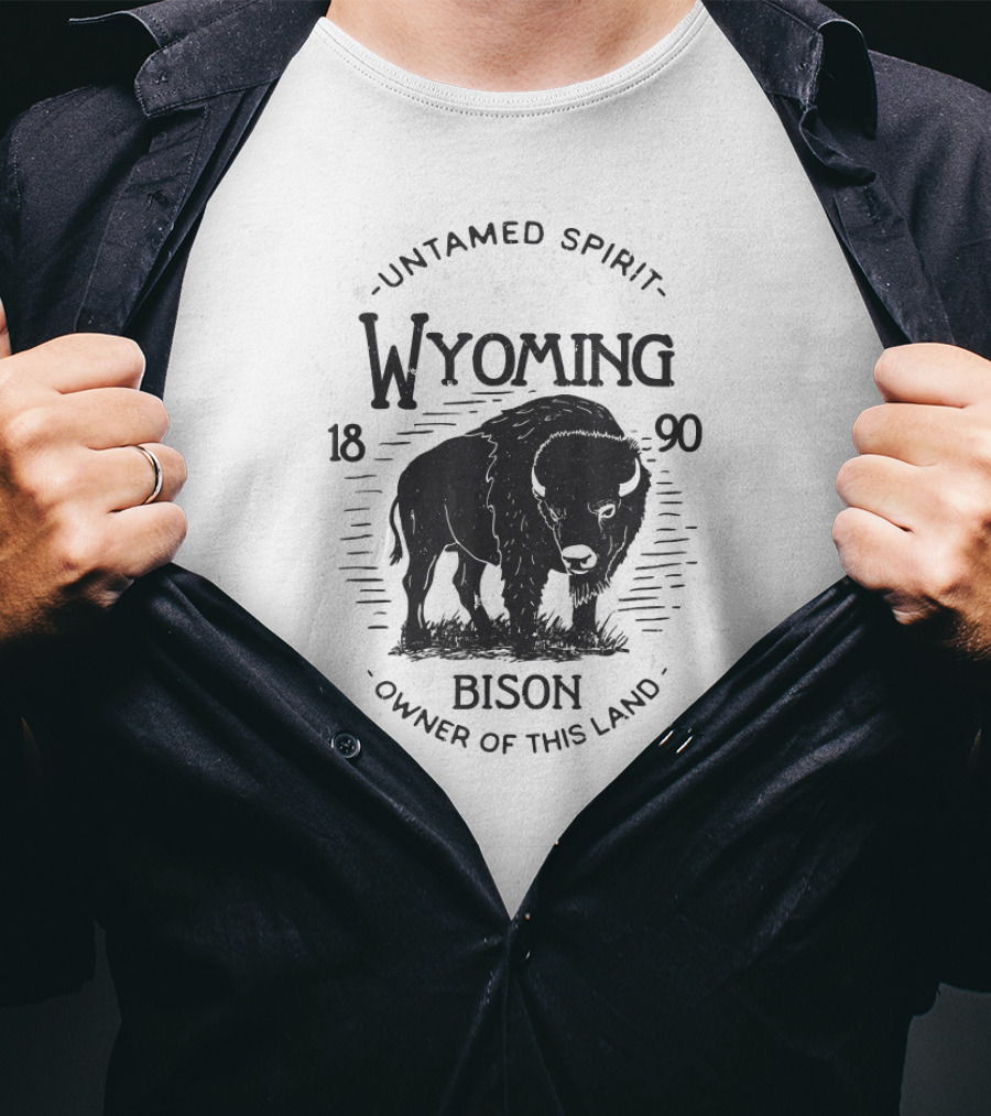 Vintage Wyoming 1890 Bison Explorer Retro 70s 80s Buffa T-Shirt