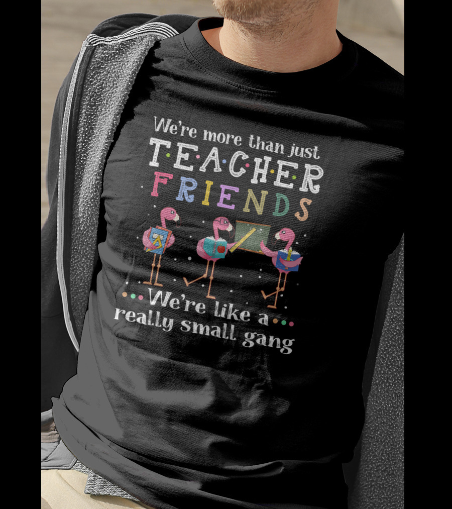 We're More Than Just Teacher Friends Like A Really Small Gang T-Shirt