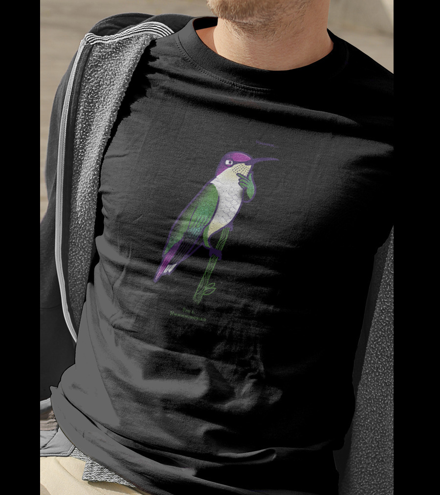 Hmmmm Fig 1. Hummmingbird T-Shirt