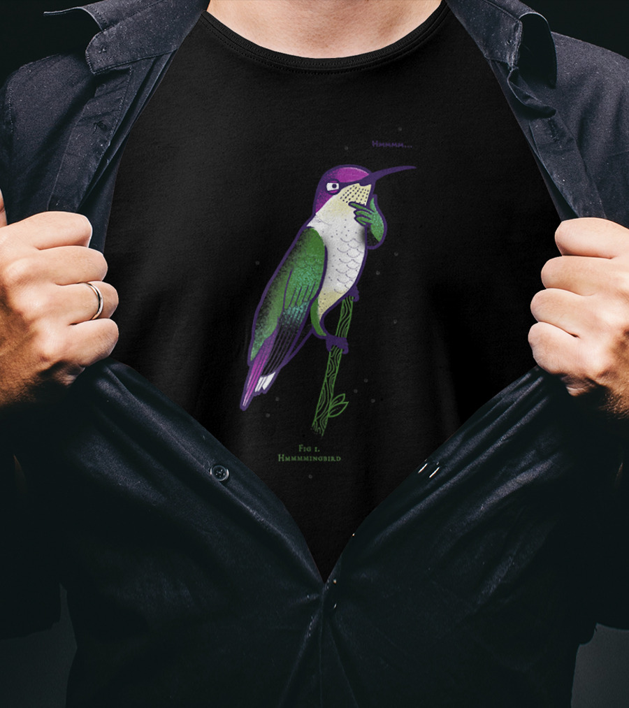 Hmmmm Fig 1. Hummmingbird T-Shirt