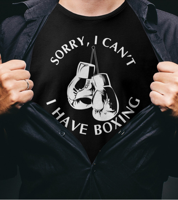 Sorry I Can't I Have Boxing Gloves Hanging T-Shirt