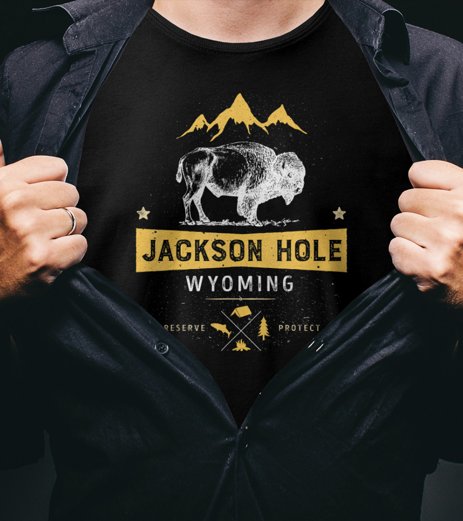 Jackson Hole Wyoming Vintage Bison Preserve Protect Mountain Elements T-Shirt