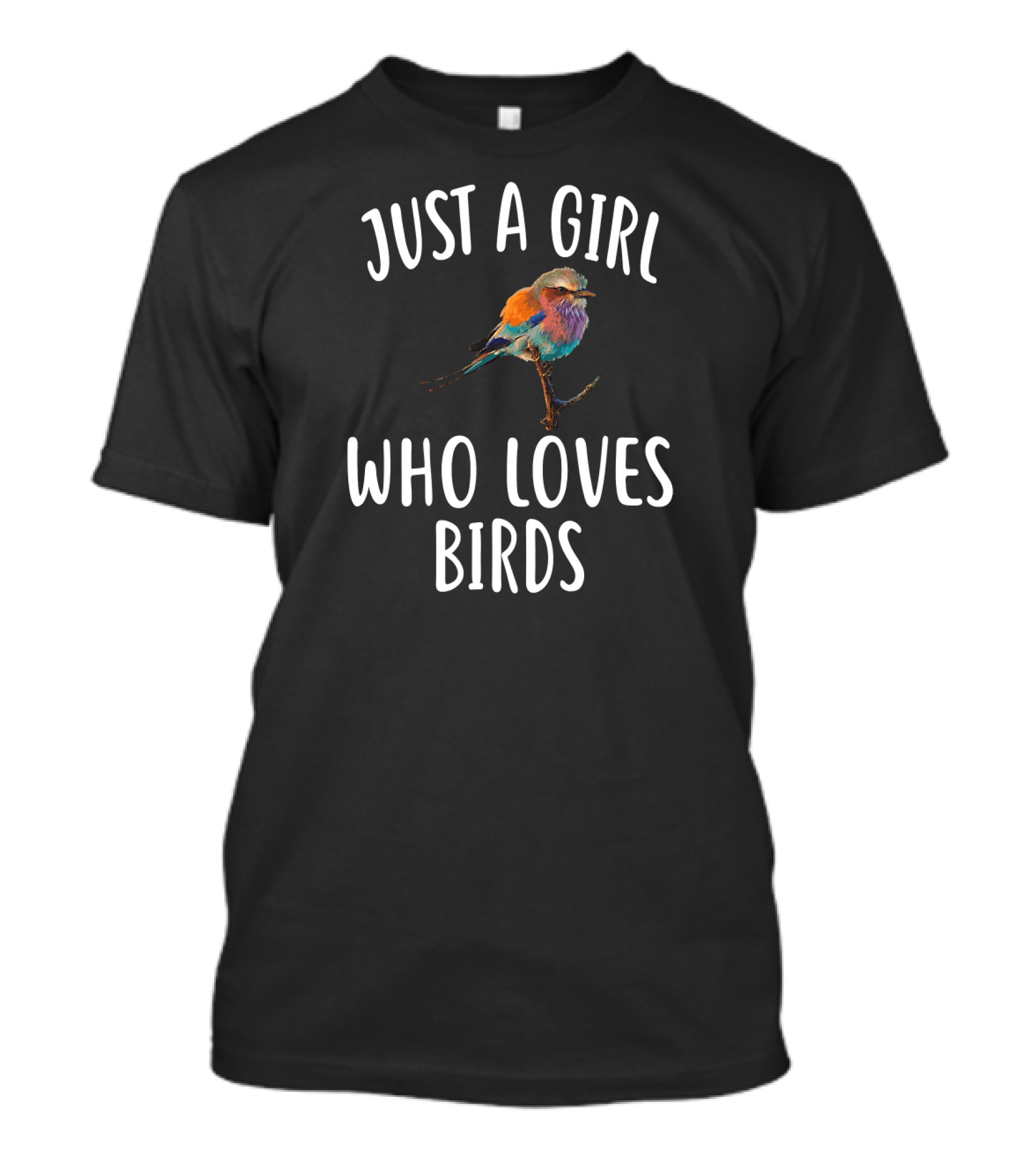 Just A Girl Who Loves Birds With Colorful Bird T-Shirt