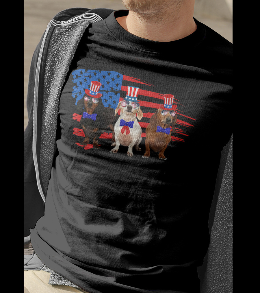American Patriotic Dachshund Lover July Independence Day Trio T-Shirt