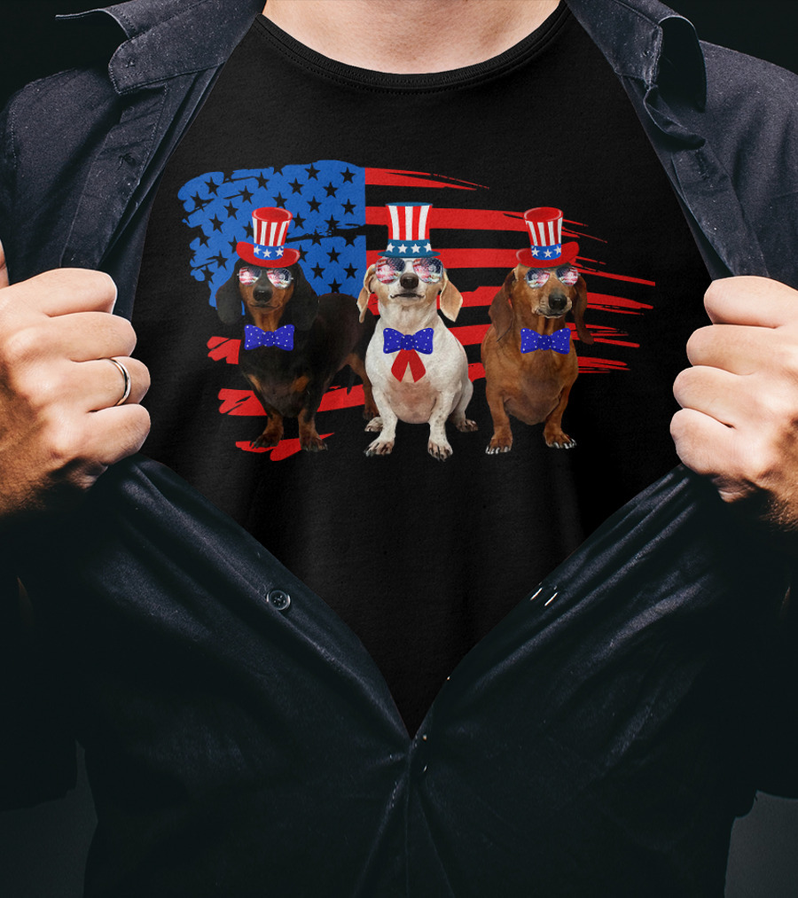 American Patriotic Dachshund Lover July Independence Day Trio T-Shirt