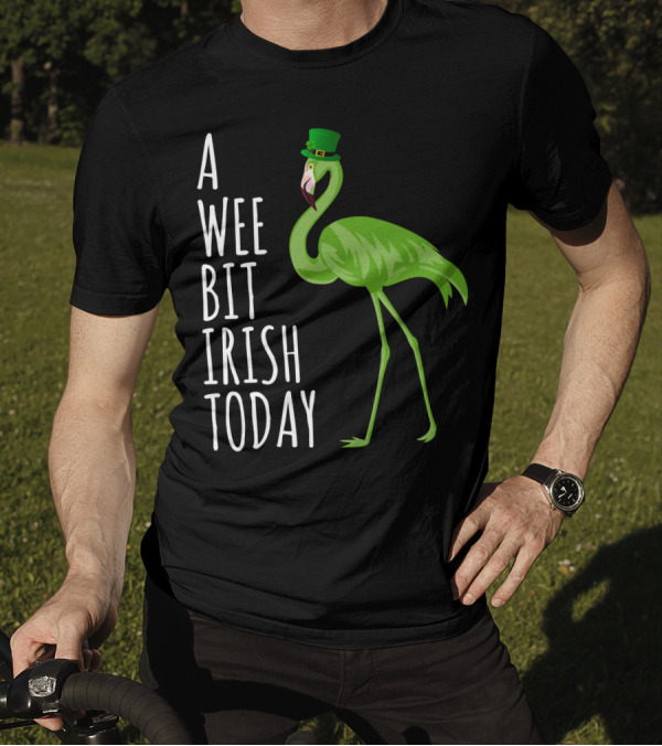 A Wee Bit Irish Today Flamingo With Green Hat T-Shirt