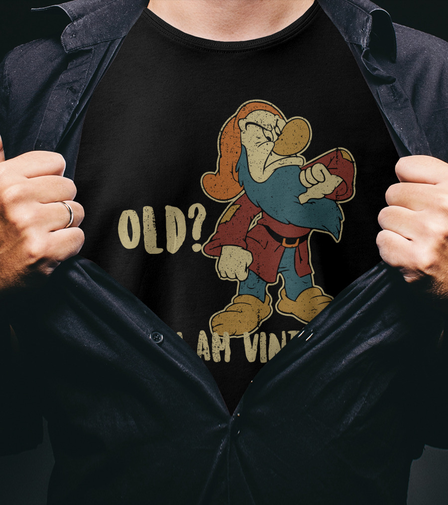Grumpy Old? No. I Am Vintage T-Shirt