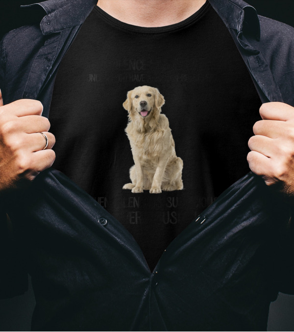 Silence Is Golden Unless You Have A Golden Retriever Then Silence Is Suspicious Very Very Suspicious T-Shirt