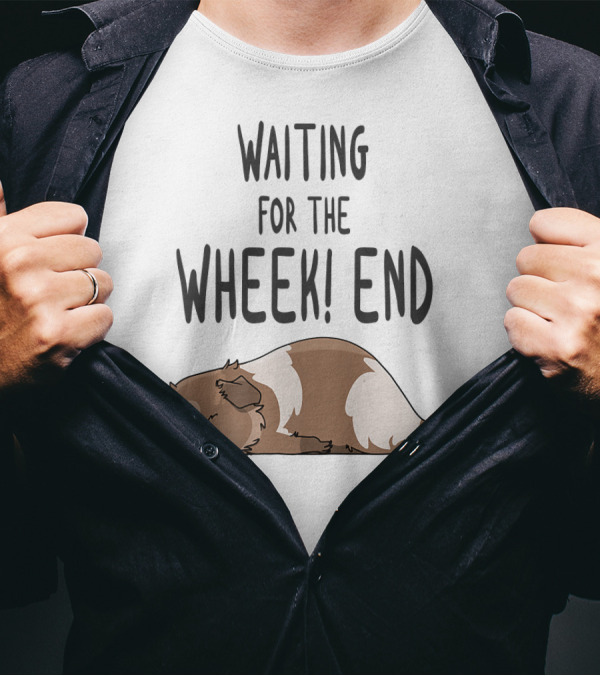 Waiting For The Wheek End Guinea Pig Pun Brow T-Shirt