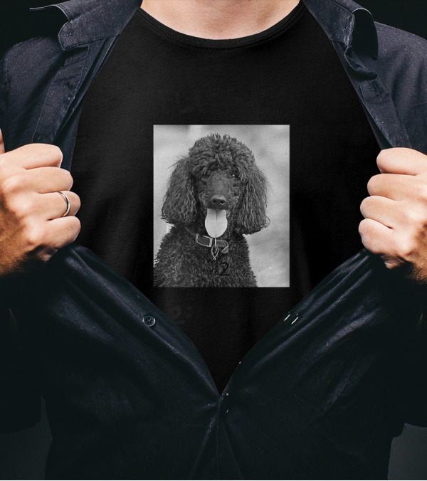 I Speak Fluent Poodle E=mc² T-Shirt