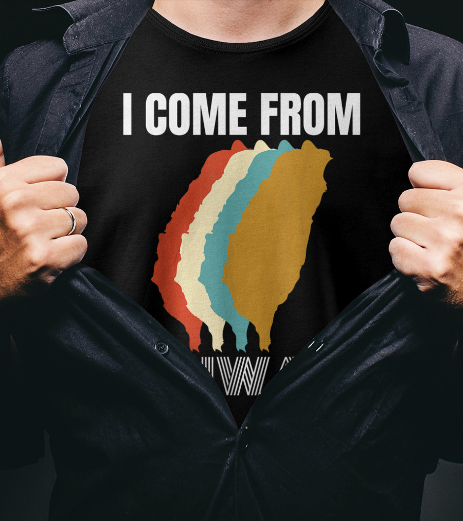 I Come From Taiwan Colorful Silhouette Map T-Shirt
