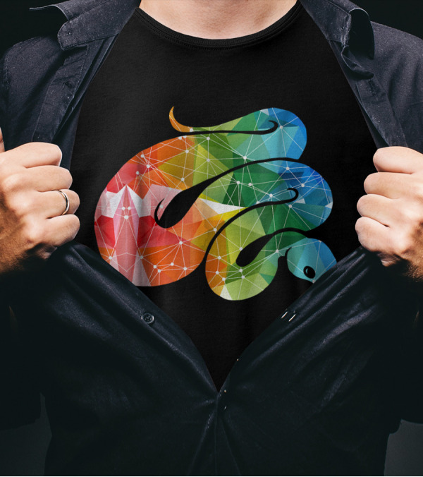 Ball Python Geometric Rainbow T-Shirt
