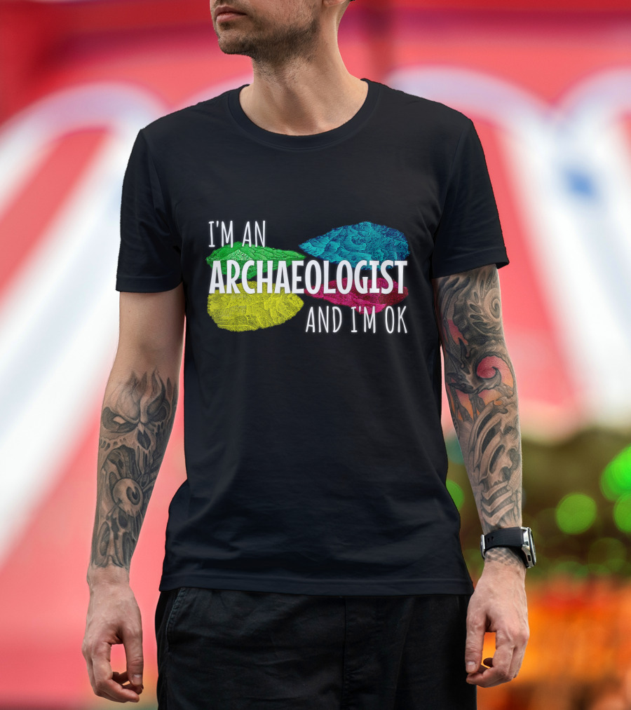 I'm An Archaeologist And I'm OK Funny Archaeology Flint T-Shirt