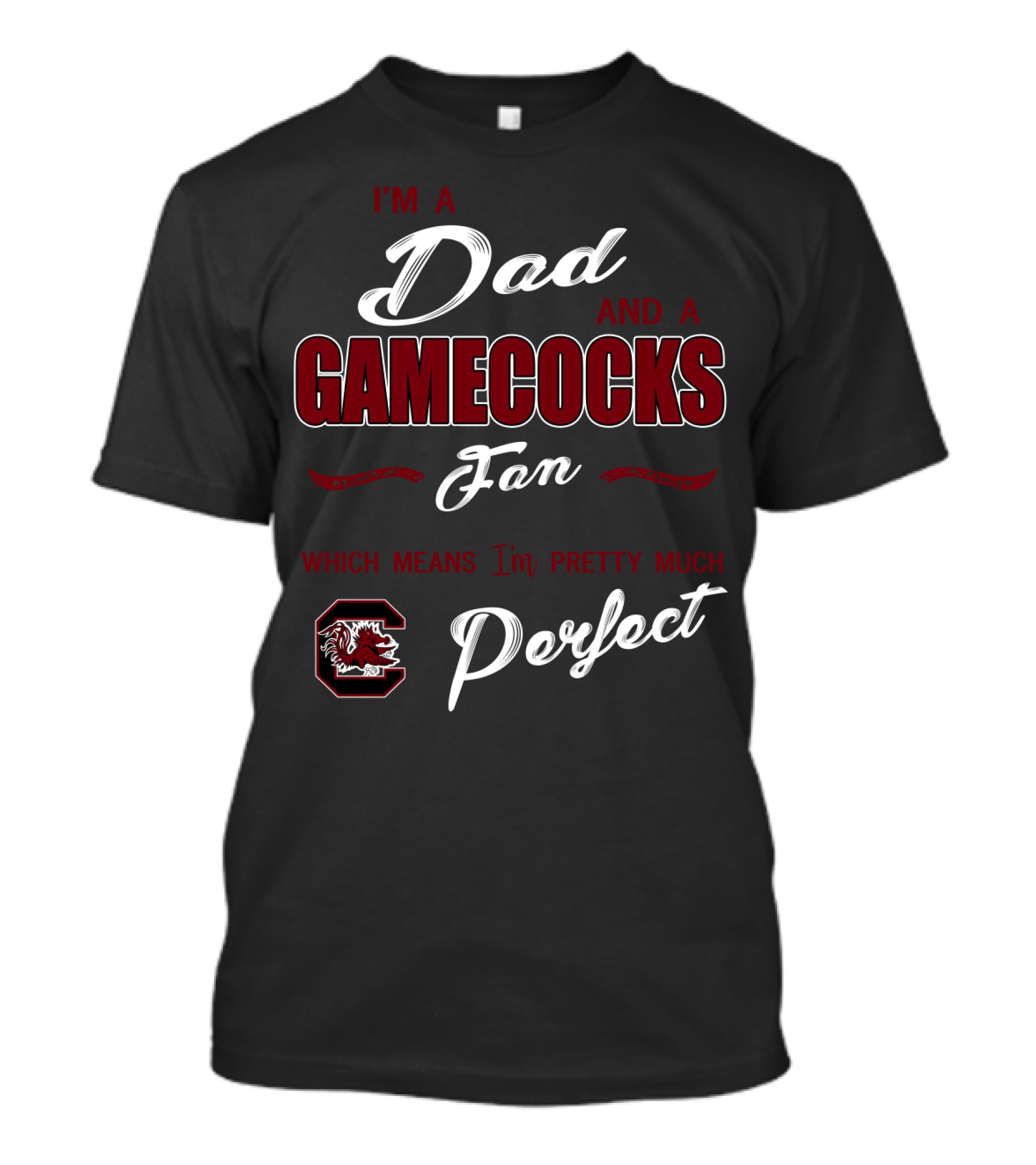 I'm A Dad And A Gamecocks Fan Which Means I'm Pretty Much Perfect T-Shirt
