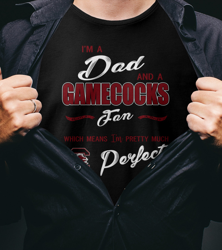 I'm A Dad And A Gamecocks Fan Which Means I'm Pretty Much Perfect T-Shirt