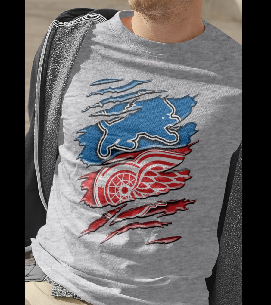 Detroit Red Wings Buffalo Sabres Vintage Mashup T-Shirt