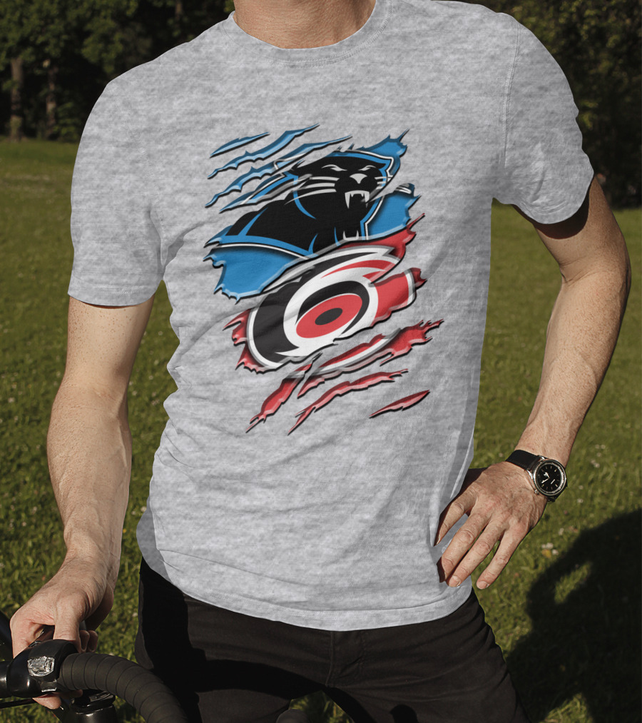 Carolina Panthers And Hurricanes Claw T-Shirt