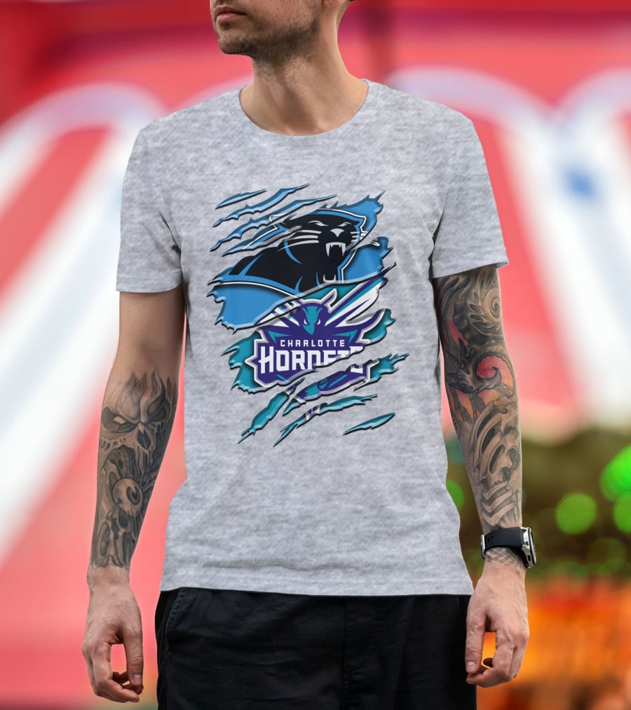 Panther And Charlotte Hornets Logo Rah T-Shirt
