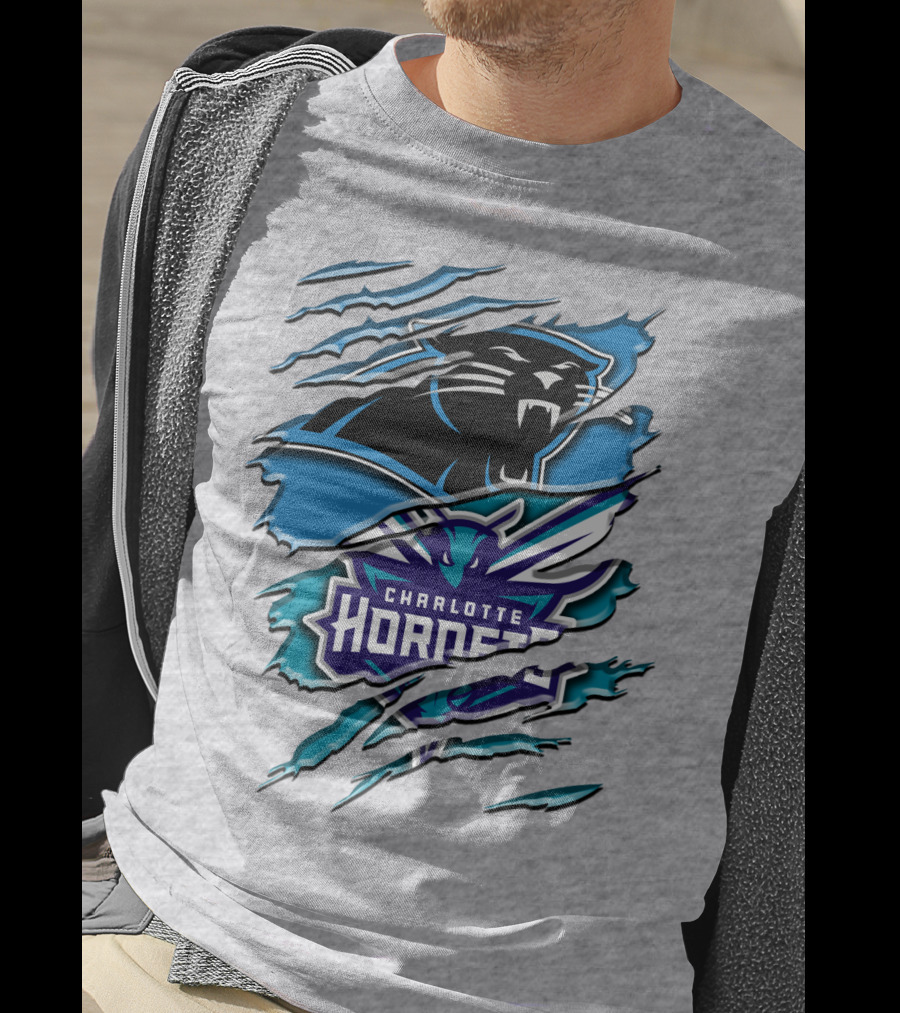Panther And Charlotte Hornets Logo Rah T-Shirt