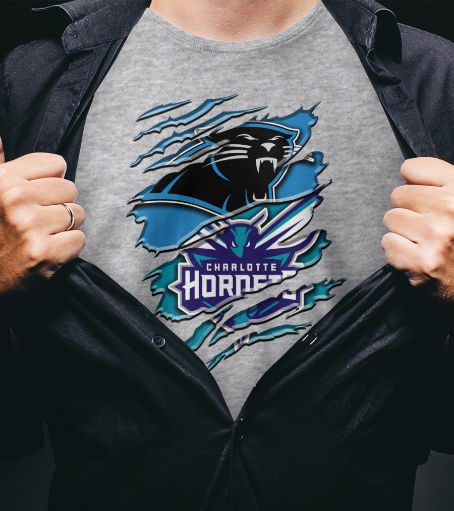 Panther And Charlotte Hornets Logo Rah T-Shirt