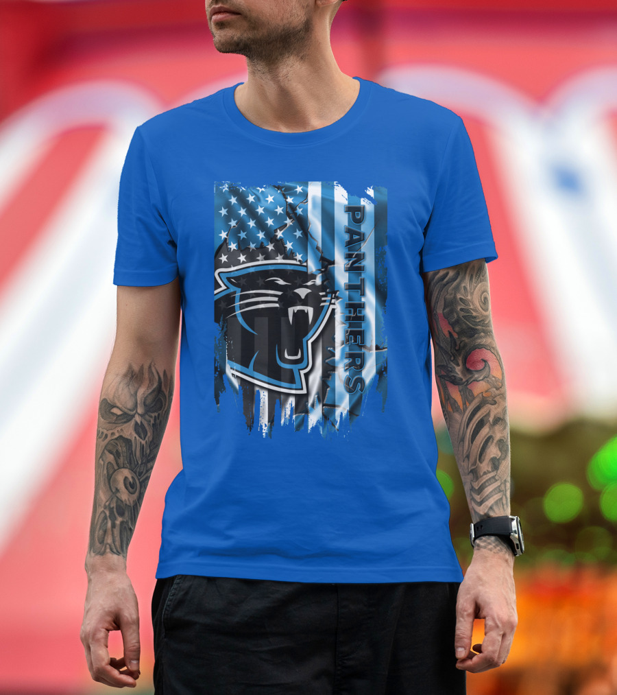 Panthers American Flag Stars And Stripes T-Shirt